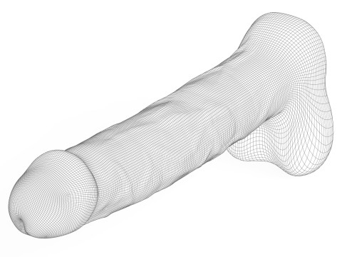 Young Man Penis 04 3D-Modell