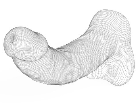 Young Man Penis 05 3D 模型