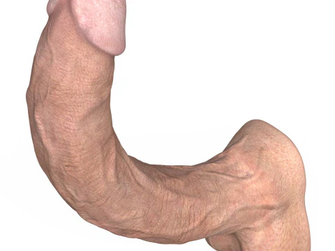Young Man Penis 06 3D Model