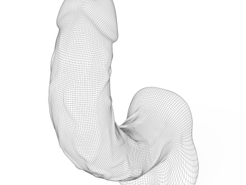 Young Man Penis 06 3D 모델