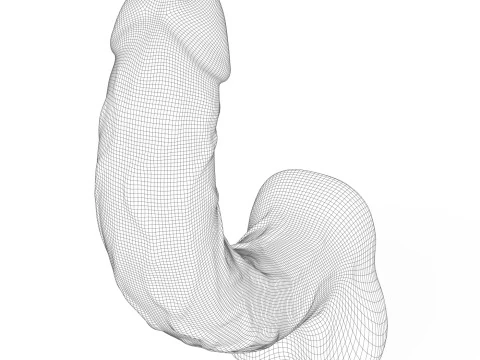 Young Man Penis 06 3D Model