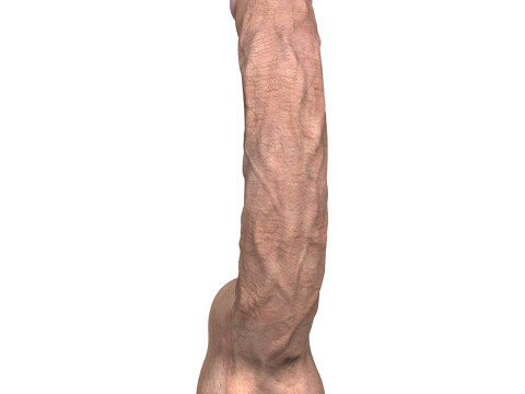 Young Man Penis 07 3D मॉडल