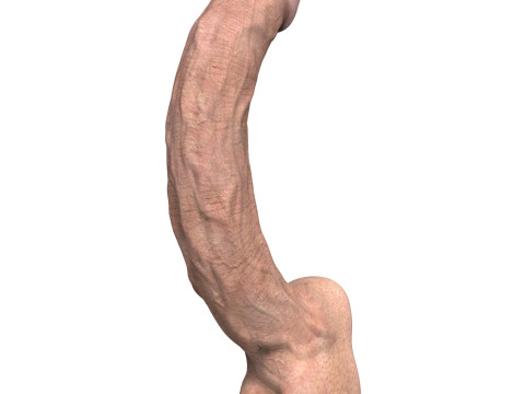 Young Man Penis 07 3D मॉडल