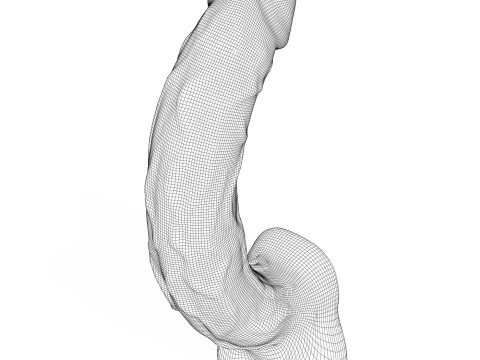 Jovem P&ecirc;nis 07 Modelo 3D