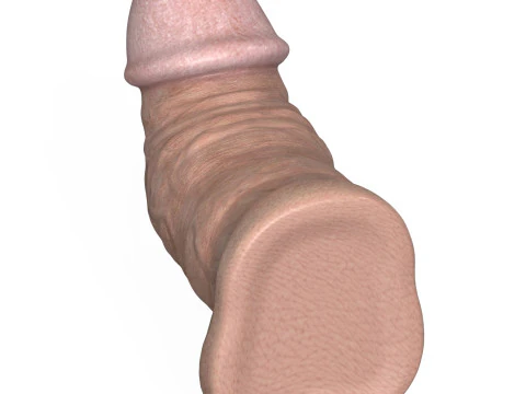 3D Printable Small Erect Penis 3D Model