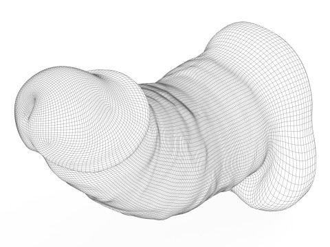 3D Printable Small Erect Penis Modèle 3D