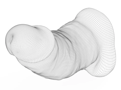 3D Printable Small Erect Penis 3D Model