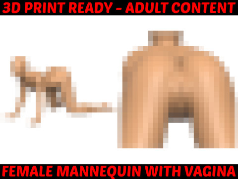 Female Mannequin With Vagina Modelo de impresión 3D