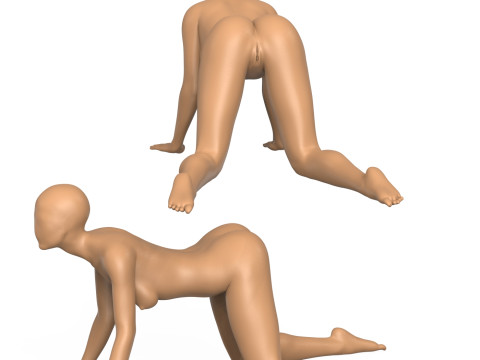 Female Mannequin With Vagina 3D प्रिंट मॉडल