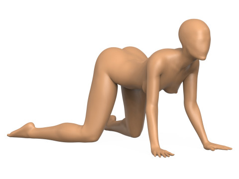 Female Mannequin With Vagina 3D प्रिंट मॉडल