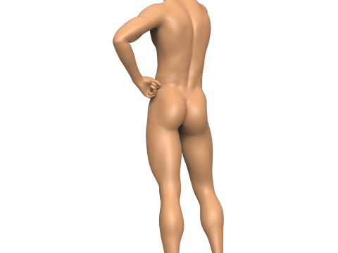 Young Man With Erect Penis 3D Print Model