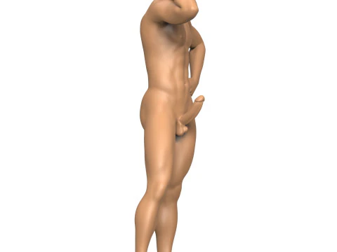 Young Man With Erect Penis 3D Print Model