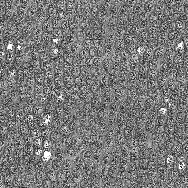 3d texture black rough CG Texturen .c4d .max .obj .3ds .fbx .stl .blend 