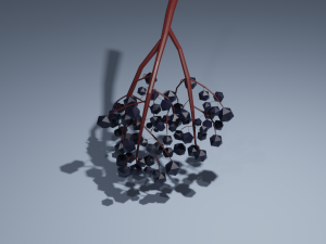 low poly fruits pack-3 3Dモデル