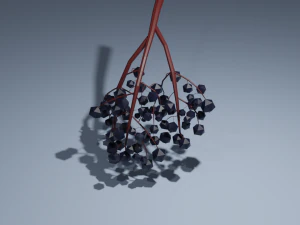 low poly fruits pack-3 3D Model