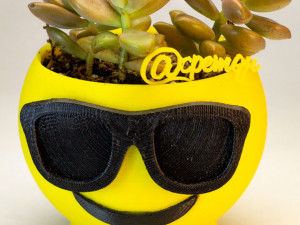 sunglasses emoji flower pot Modelo de impresión 3D