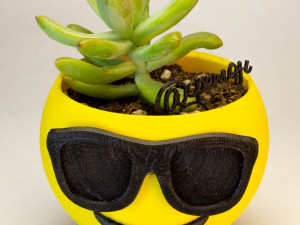 sunglasses emoji flower pot Modelo de impresión 3D