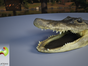 0001-07 alligator 3Dモデル