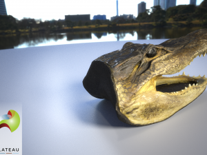 0001-07 alligator 3Dモデル