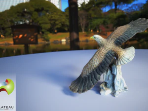 0001-09 petit aigle Modèle 3D