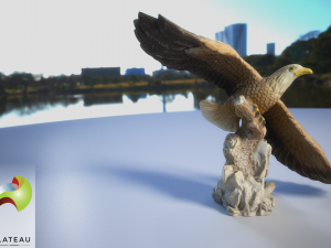 0001-09 small eagle 3Dモデル