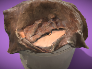Rice cooker C4D added 3D Model
