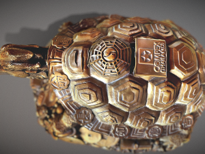 Feng Shui Dragon Turtle Modello 3D