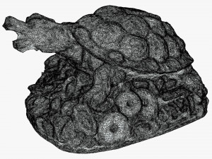 Feng Shui Dragon Turtle Modello 3D