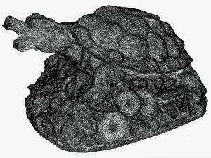 Feng Shui Dragon Turtle 3D Model