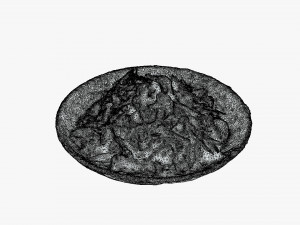 Stir fried Garlic 3D Model