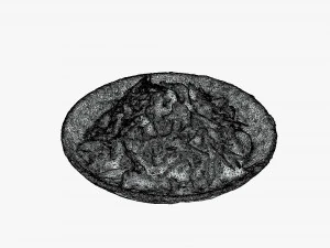 Stir fried Garlic 3D Model