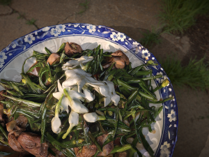 Stir fried Garlic 3D Model