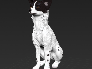 Sitting basenji dog african canine 3D-Druckmodell