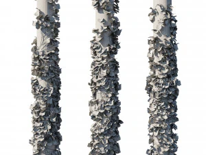 Vinhas Vitis Coignetiae Modelo 3D