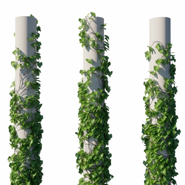 Vitis Coignetiae vines Modèle 3D .c4d .max .obj .3ds .fbx .stl .blend 