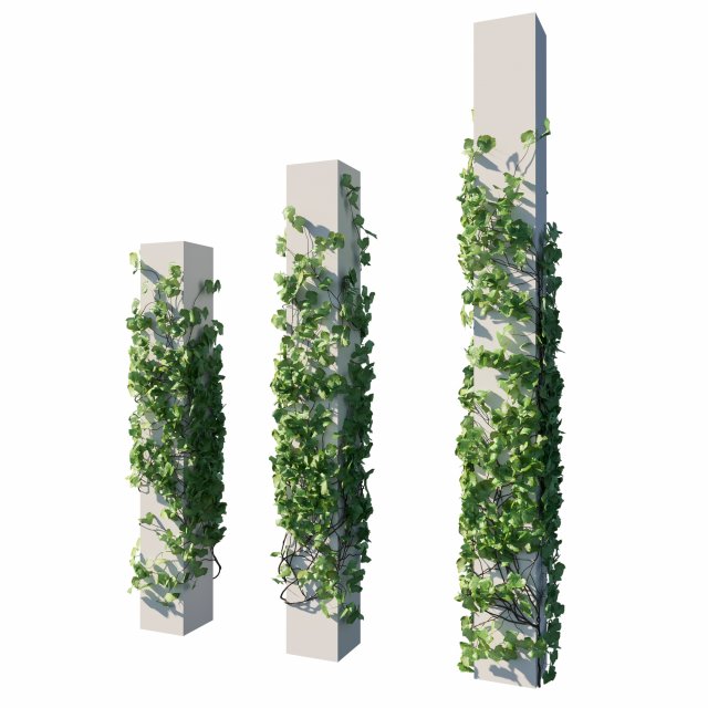 Vitis Coignetiae 03 Modelo 3D .c4d .max .obj .3ds .fbx .stl .blend 