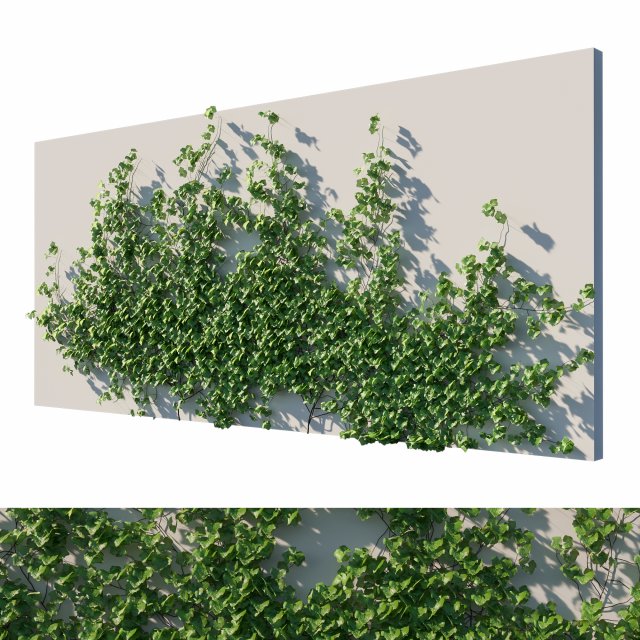 Vitis Coignetiae vines 04 Modelo 3D .c4d .max .obj .3ds .fbx .stl .blend 