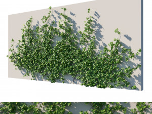 Vitis Coignetiae vines 04 3Dモデル