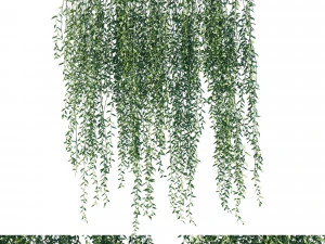 Vernonia elliptica 03 3D Model