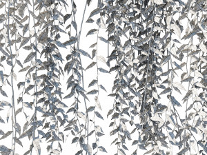Vernonia elliptica 03 3D Model