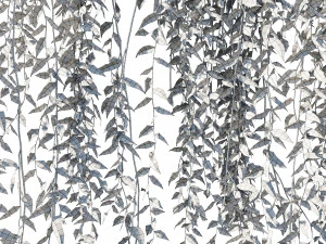 Vernonia elliptica 03 3D Model