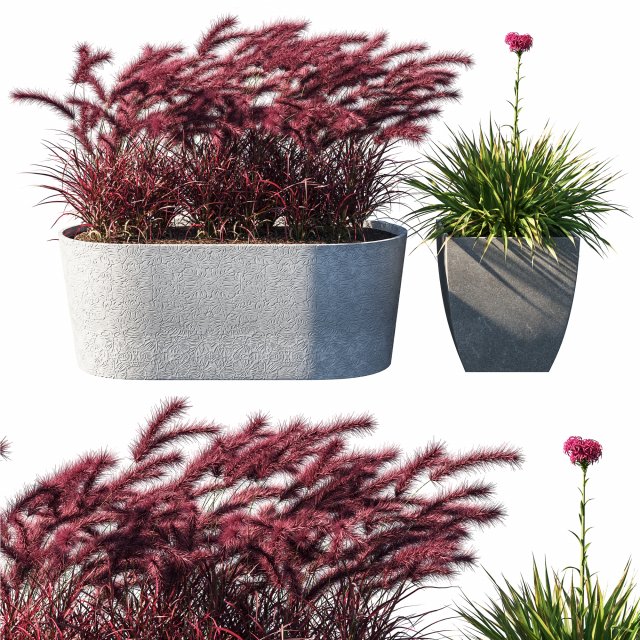 Pot Plant collection 03 3D मॉडल .c4d .max .obj .3ds .fbx .stl .blend 