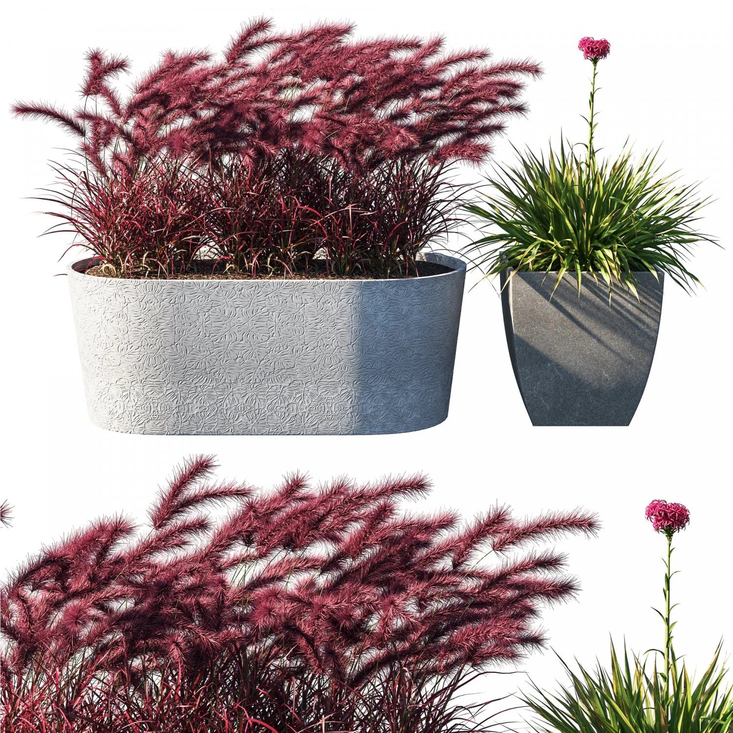 Pot Plant collection 03 3D Model .c4d .max .obj .3ds .fbx .stl .blend 