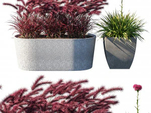 Collection de plantes en pot 03 Modèle 3D