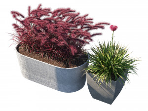 Pot Plant collection 03 3D मॉडल
