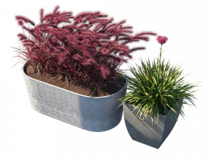 Pot Plant collection 03 3D Model