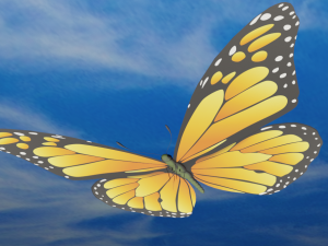 butterfly 3D Model