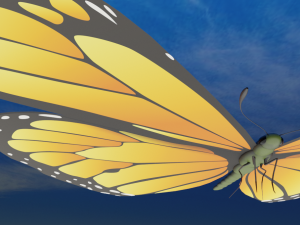 butterfly 3D 모델