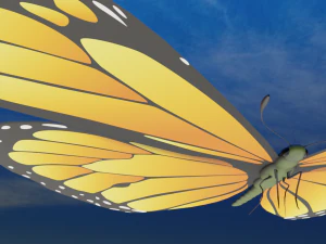 butterfly 3D Model