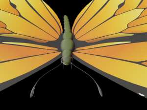 butterfly 3D 모델